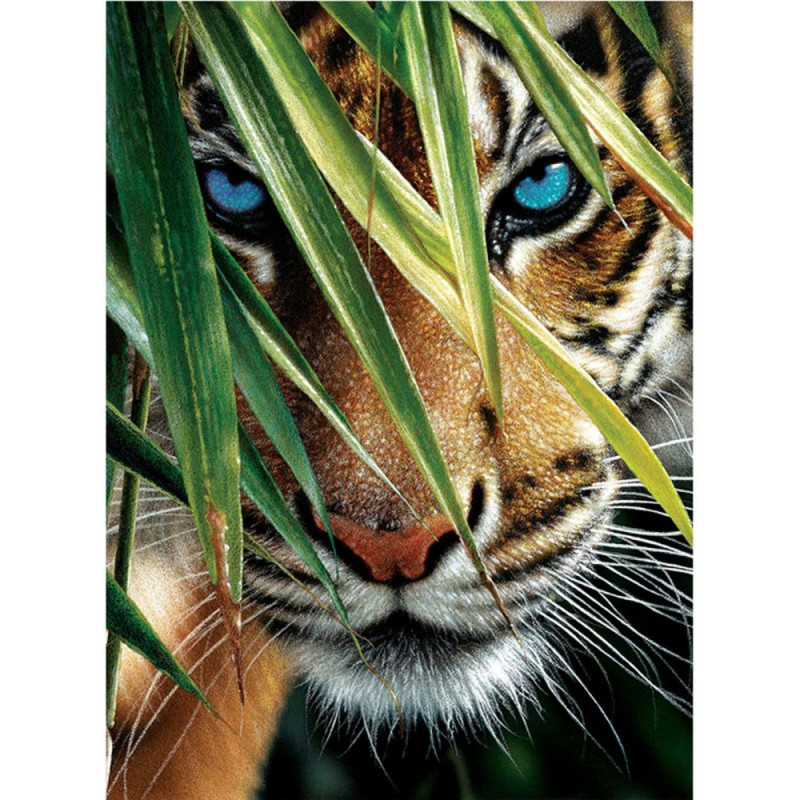 Diamantové malování obrázek - tygr
